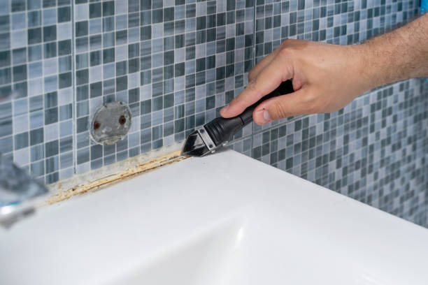 Certified Mold Removal in San Rafael, CA